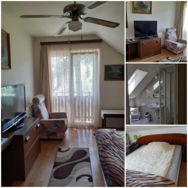 Gödöllő Hegyesi Vendeghaz B&B 외부 사진